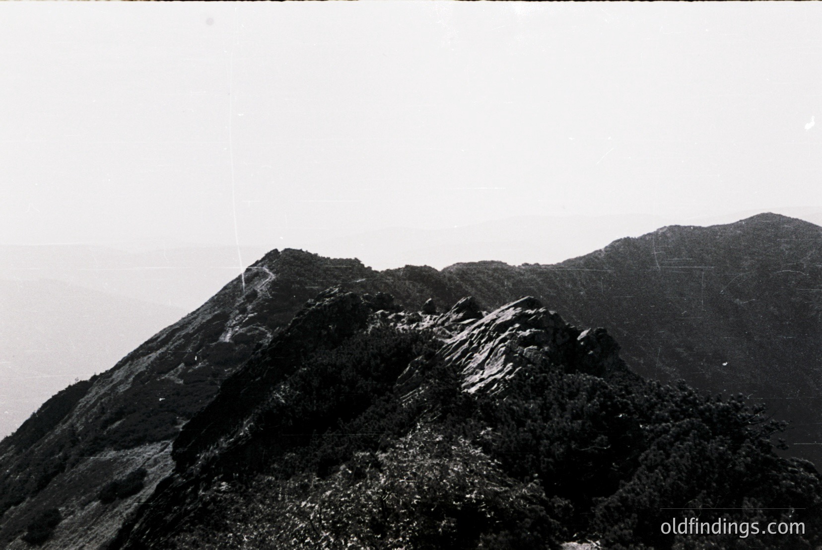 Vintage photograph
