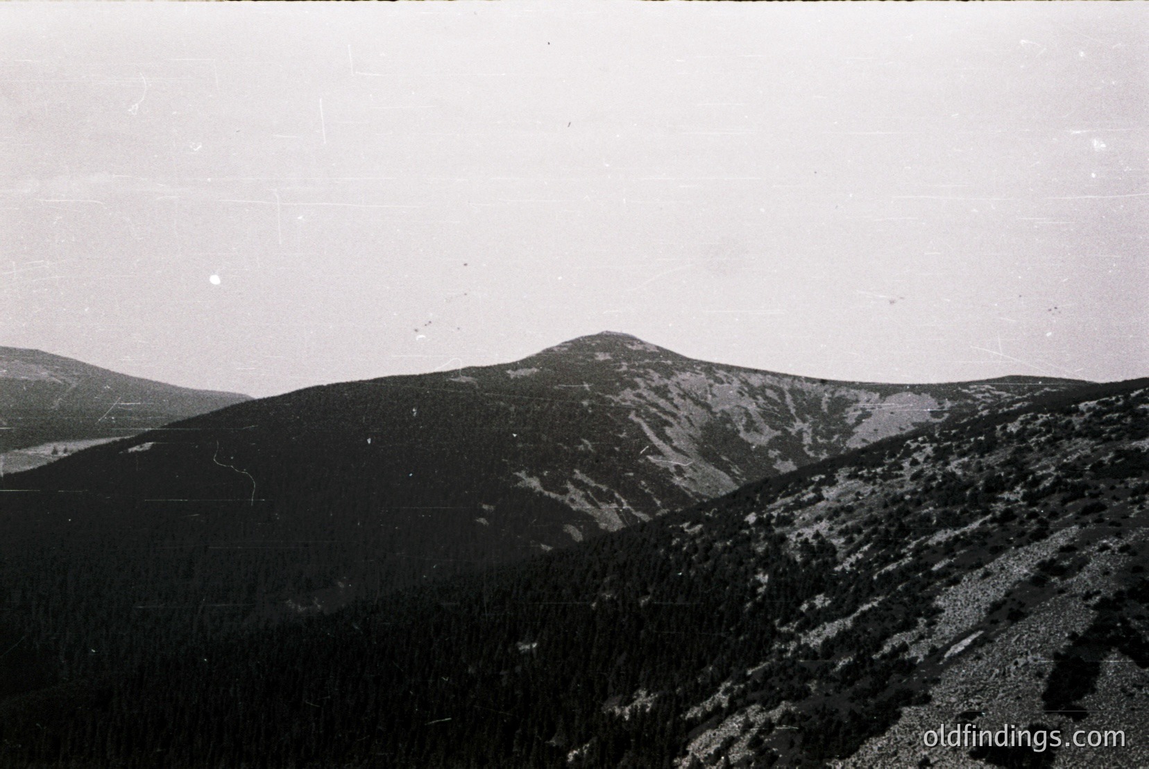 Vintage photograph