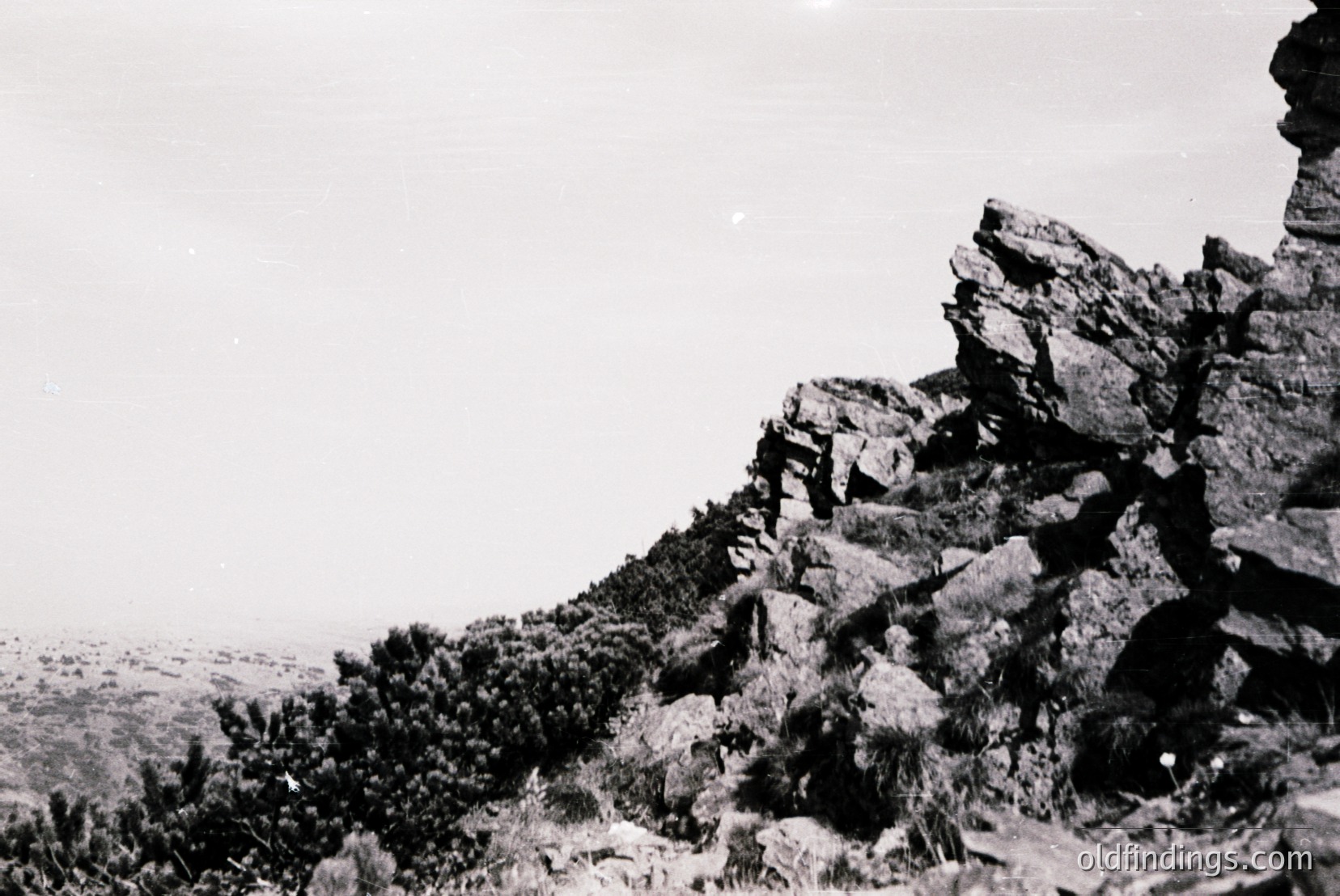 Vintage photograph