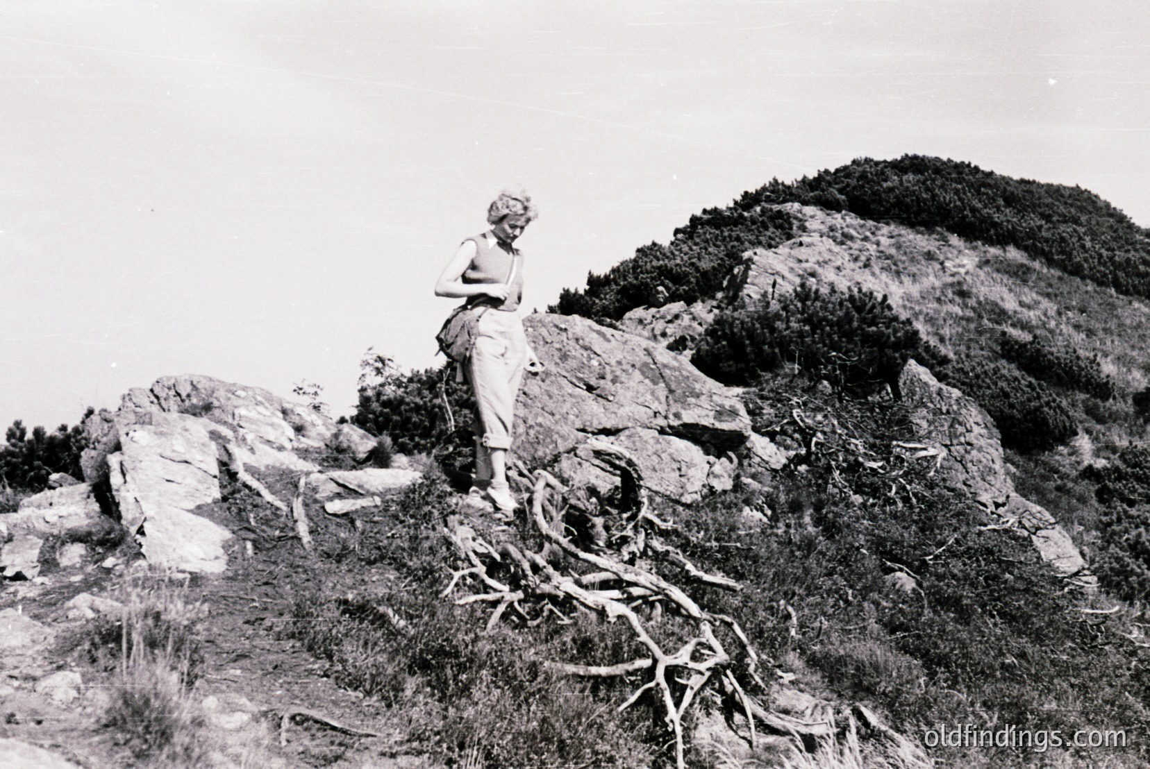 Vintage photograph