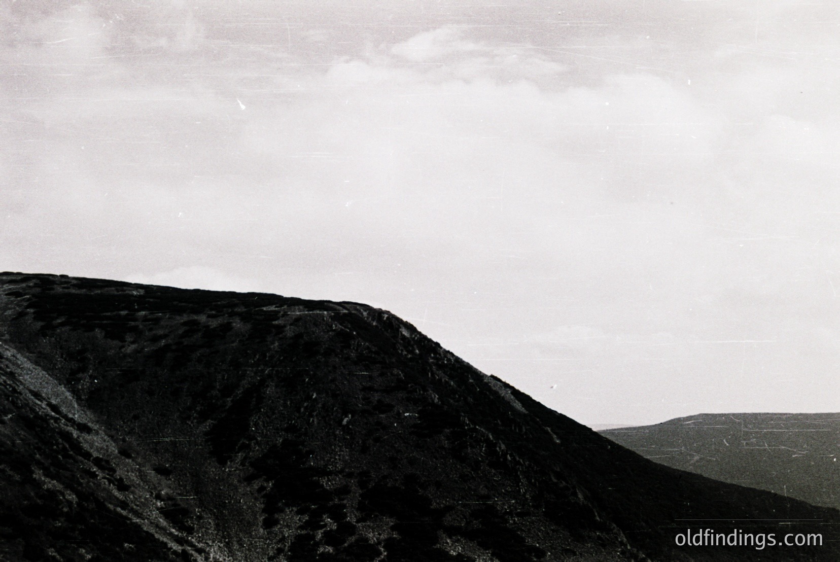 Vintage photograph