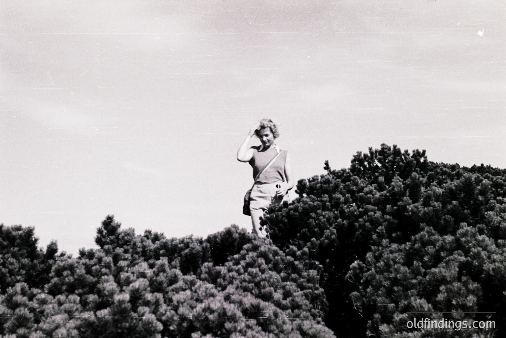 Vintage photograph