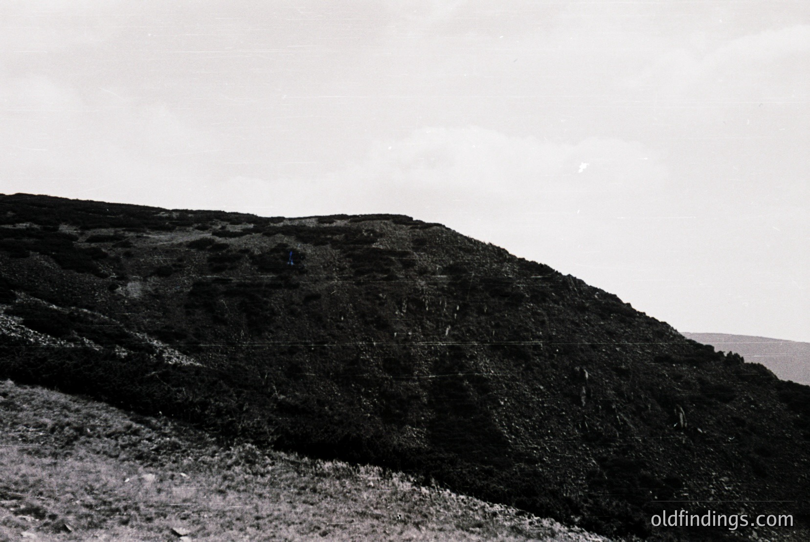 Vintage photograph
