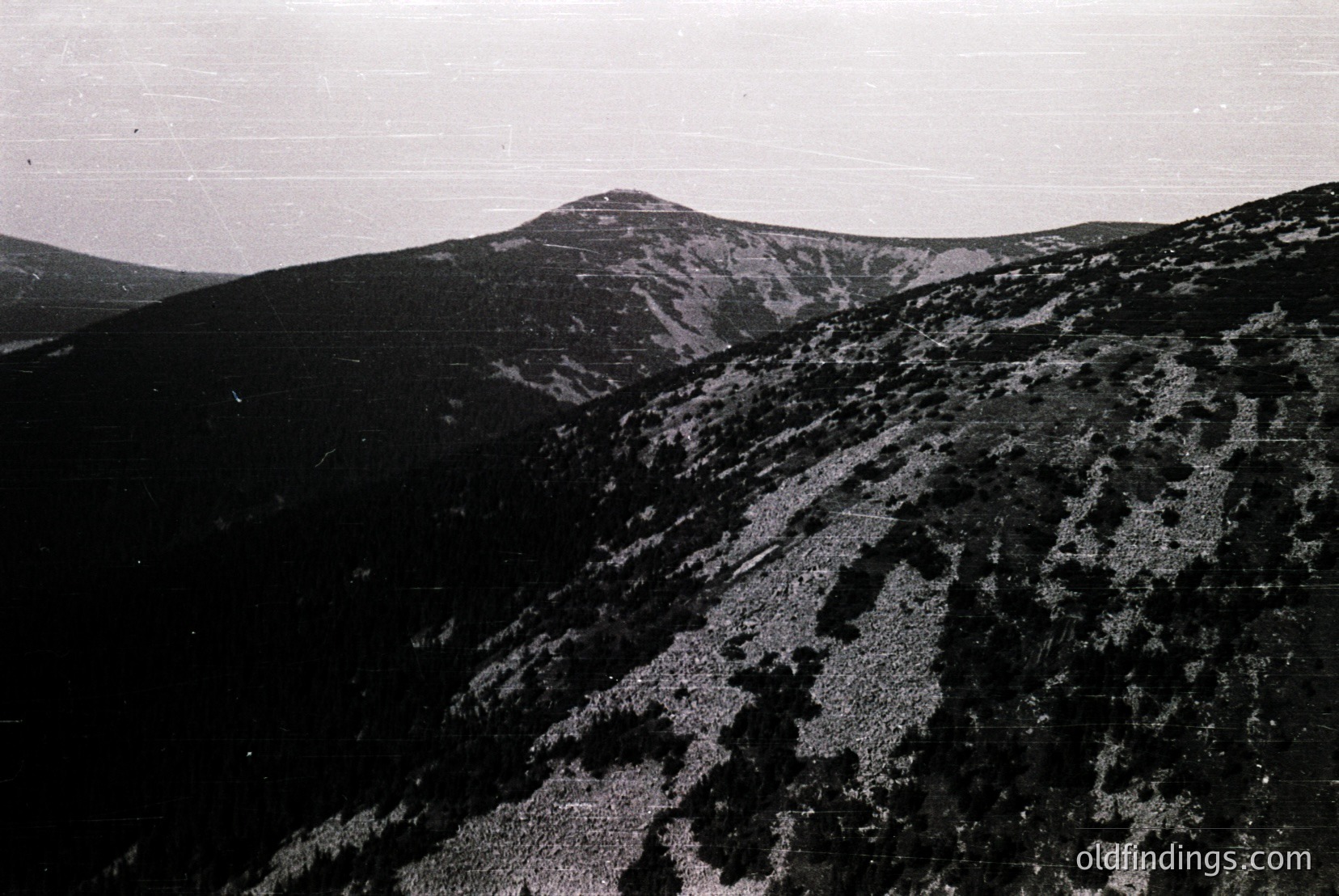 Vintage photograph