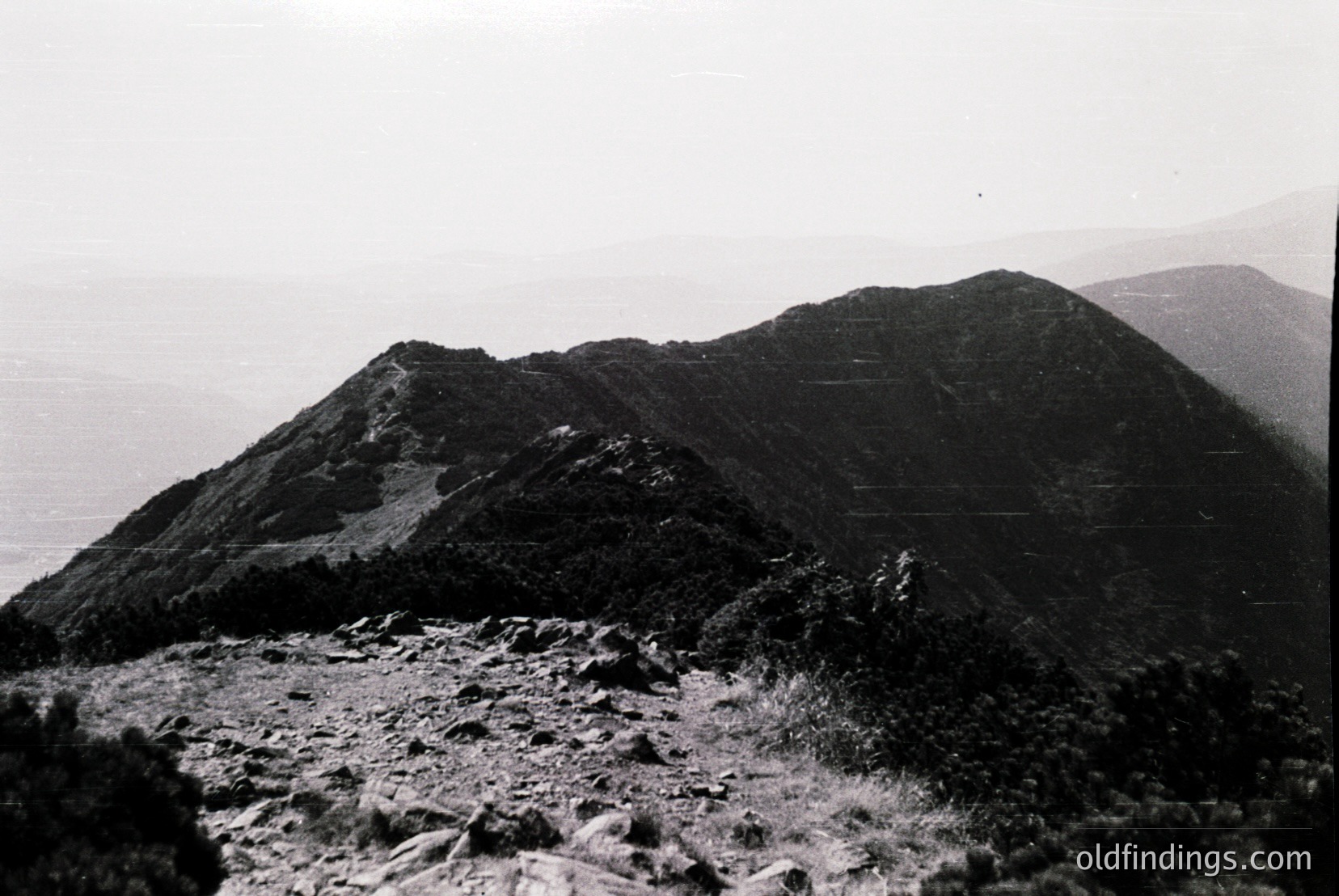 Vintage photograph