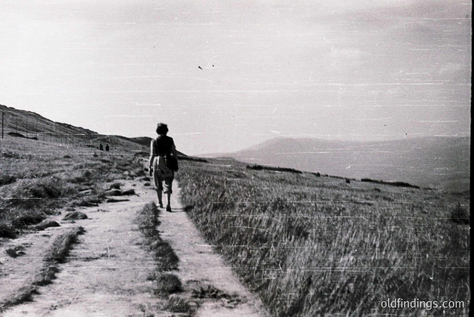 Vintage photograph