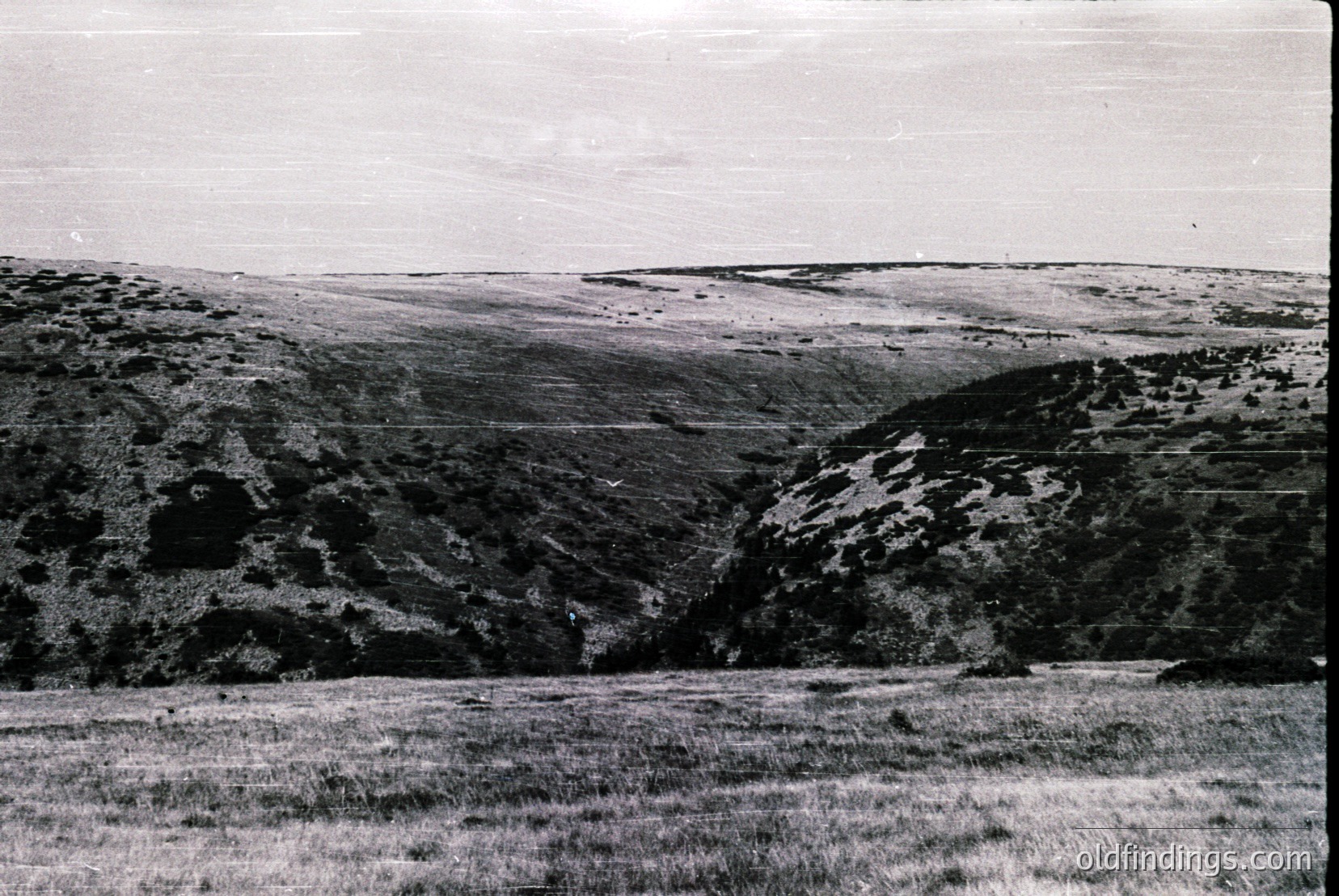 Vintage photograph