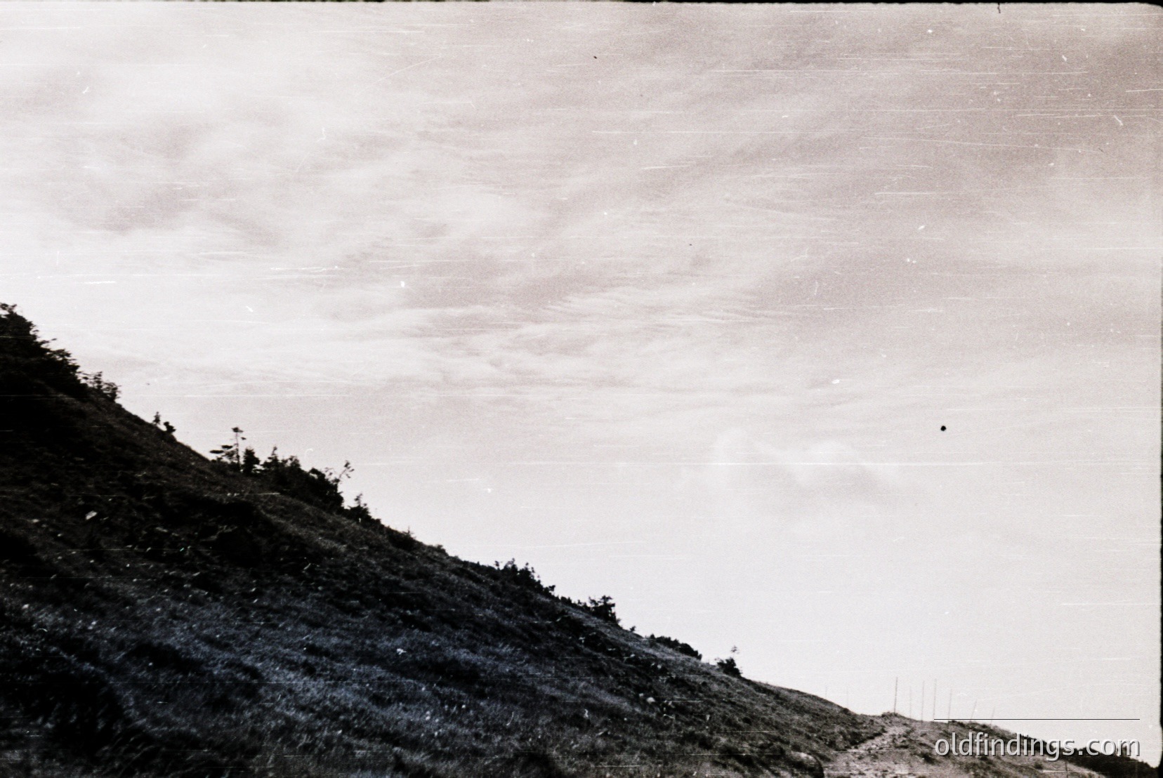 Vintage photograph