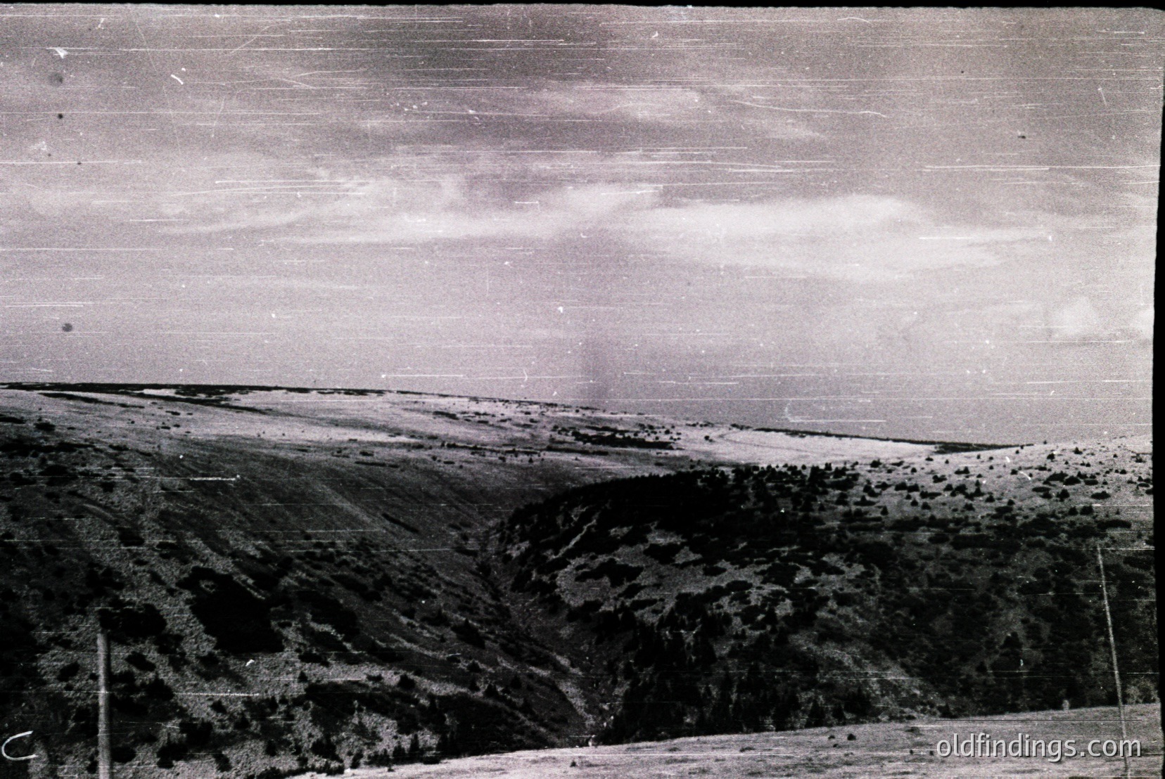 Vintage photograph