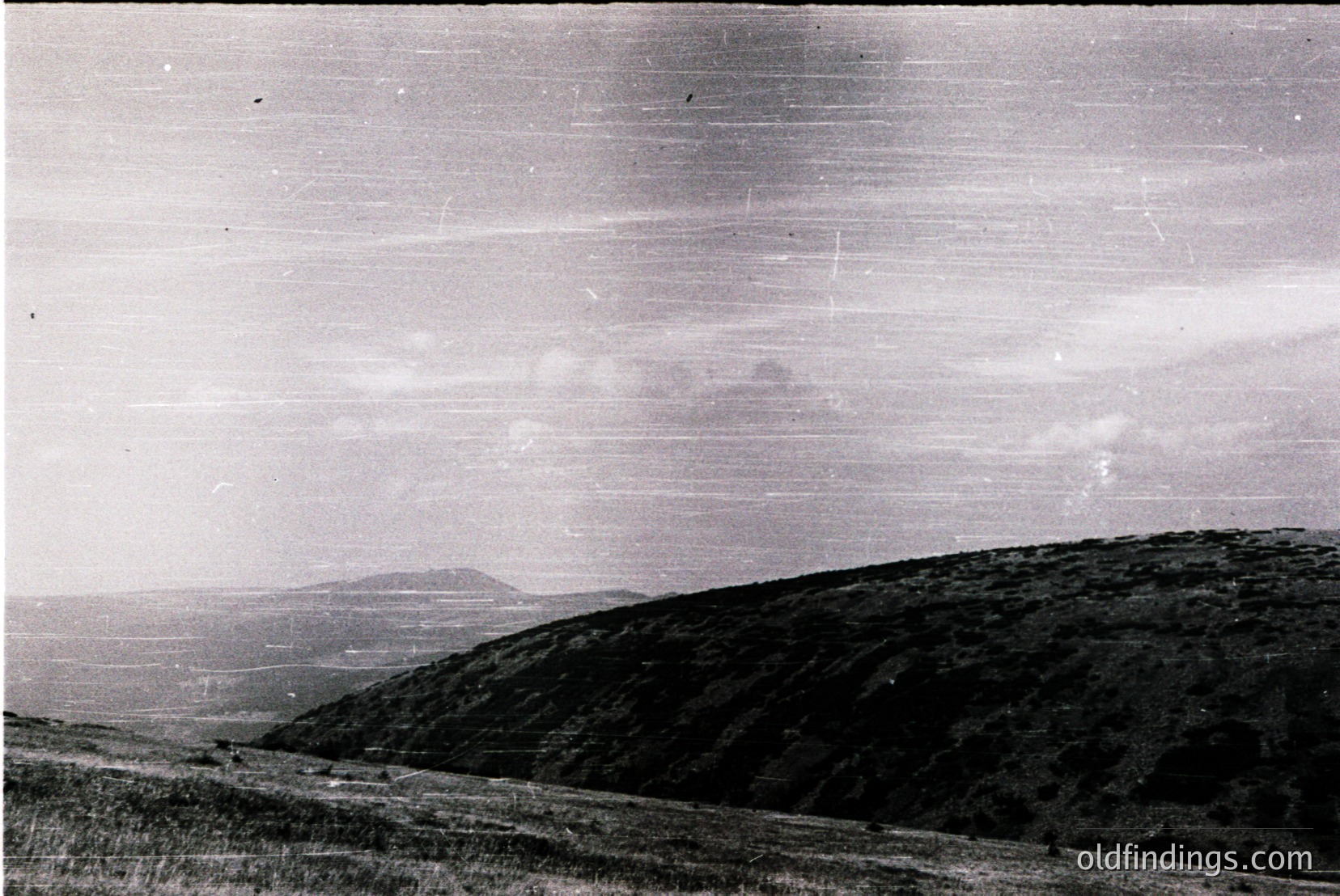 Vintage photograph