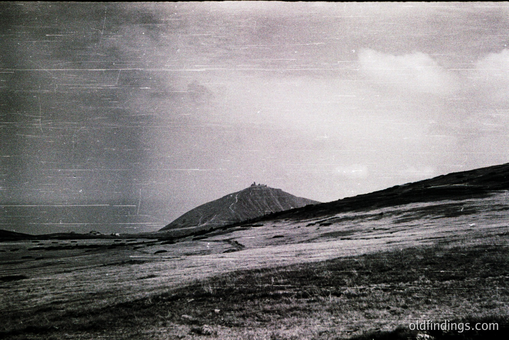 Vintage photograph
