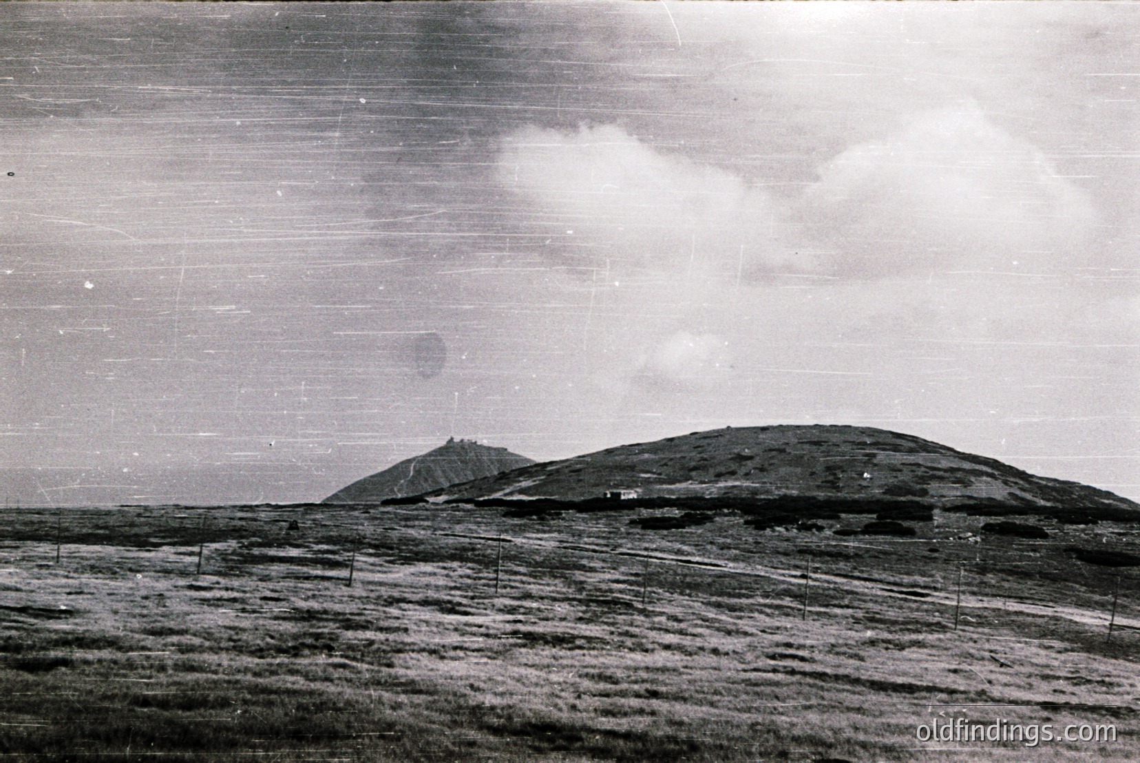 Vintage photograph