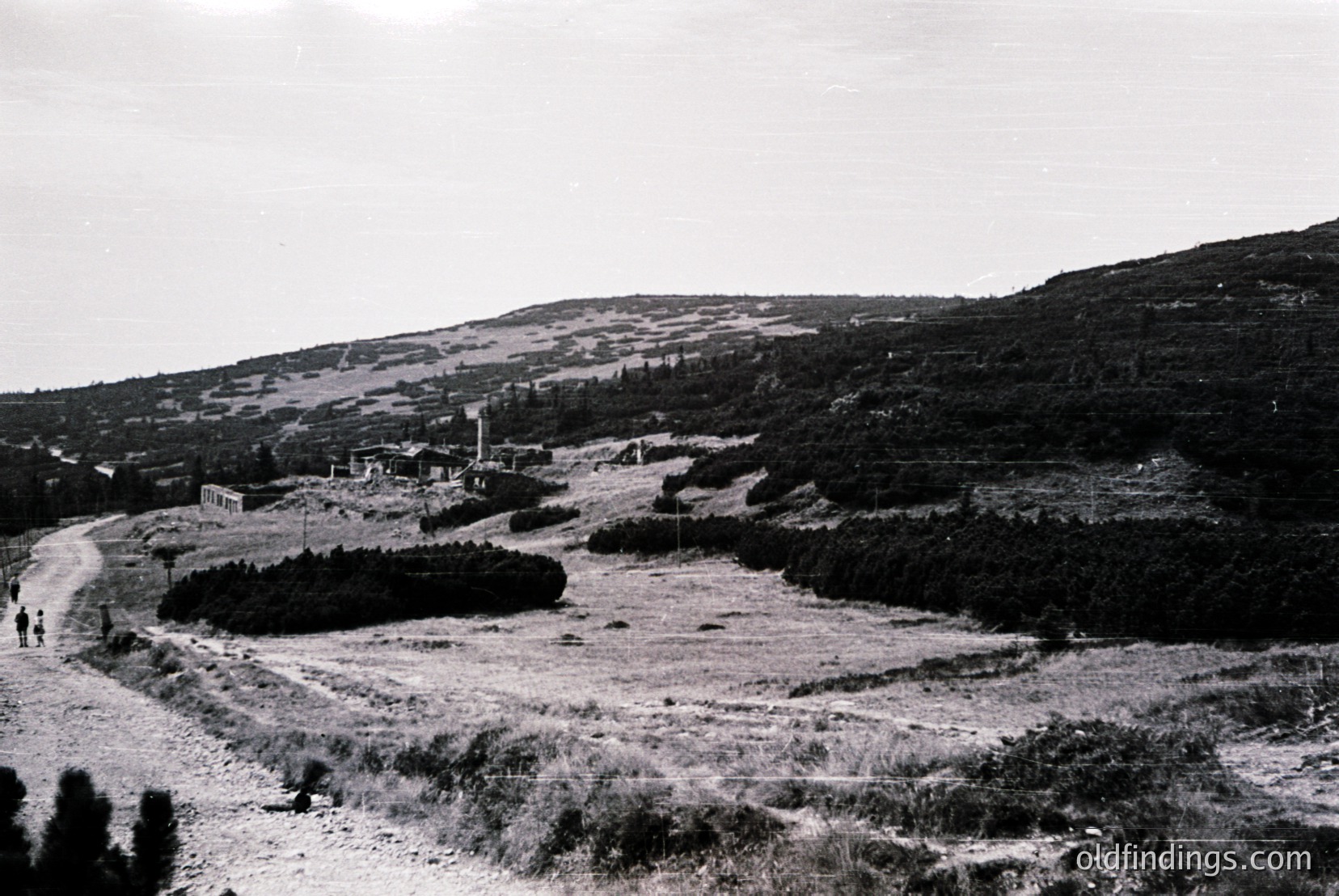 Vintage photograph
