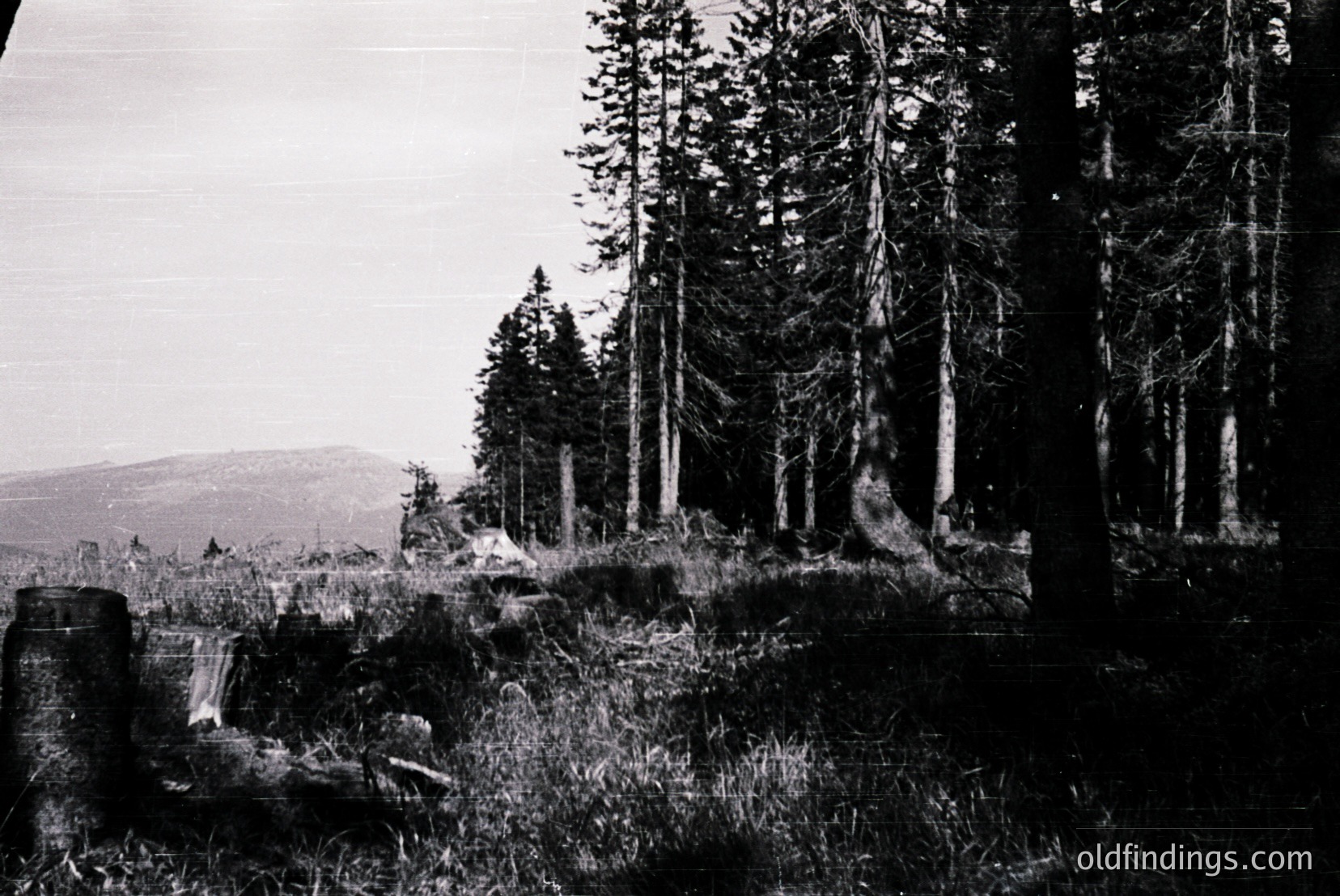 Vintage photograph