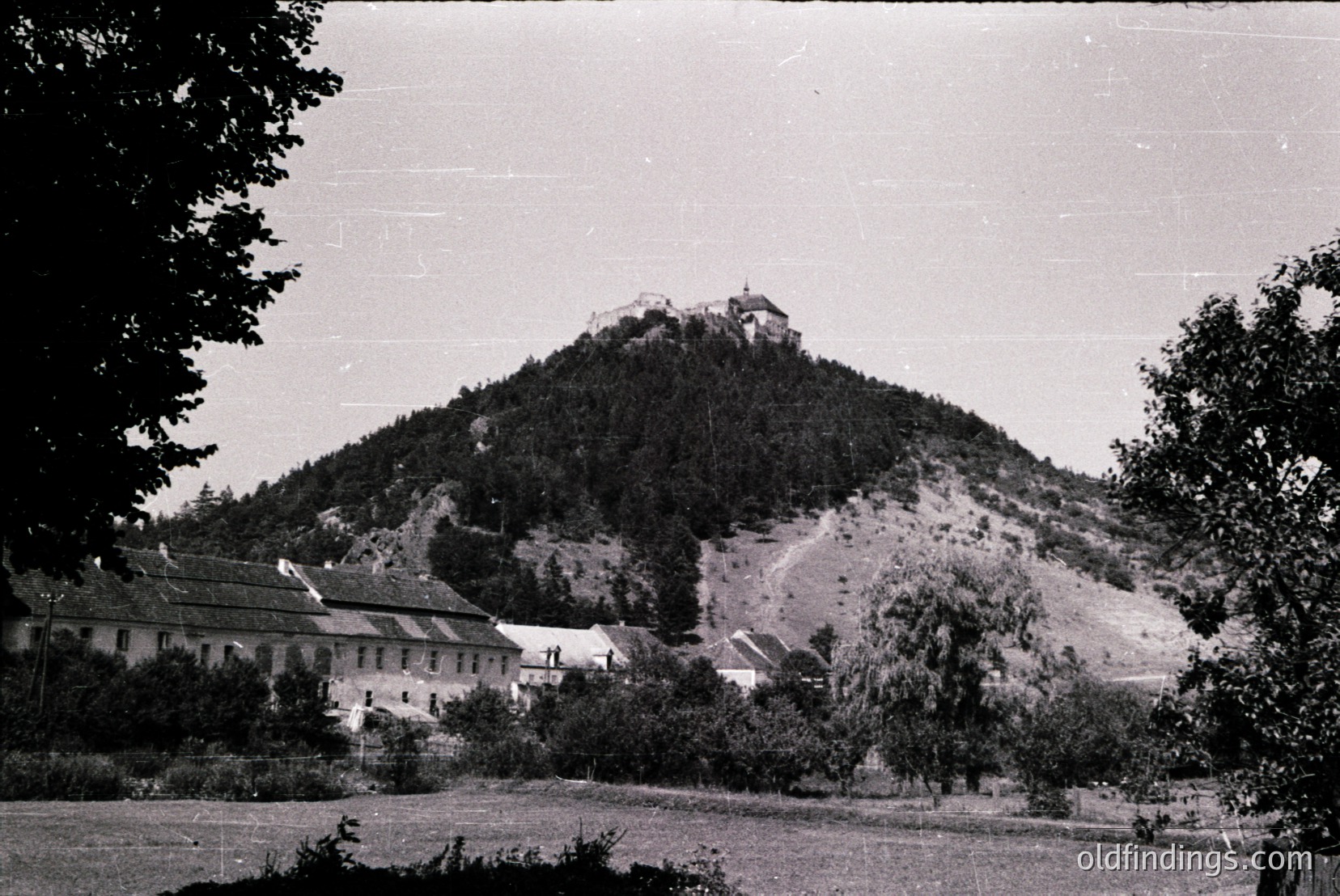 Vintage photograph