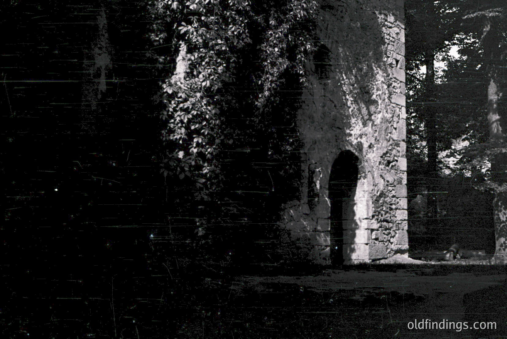Vintage photograph