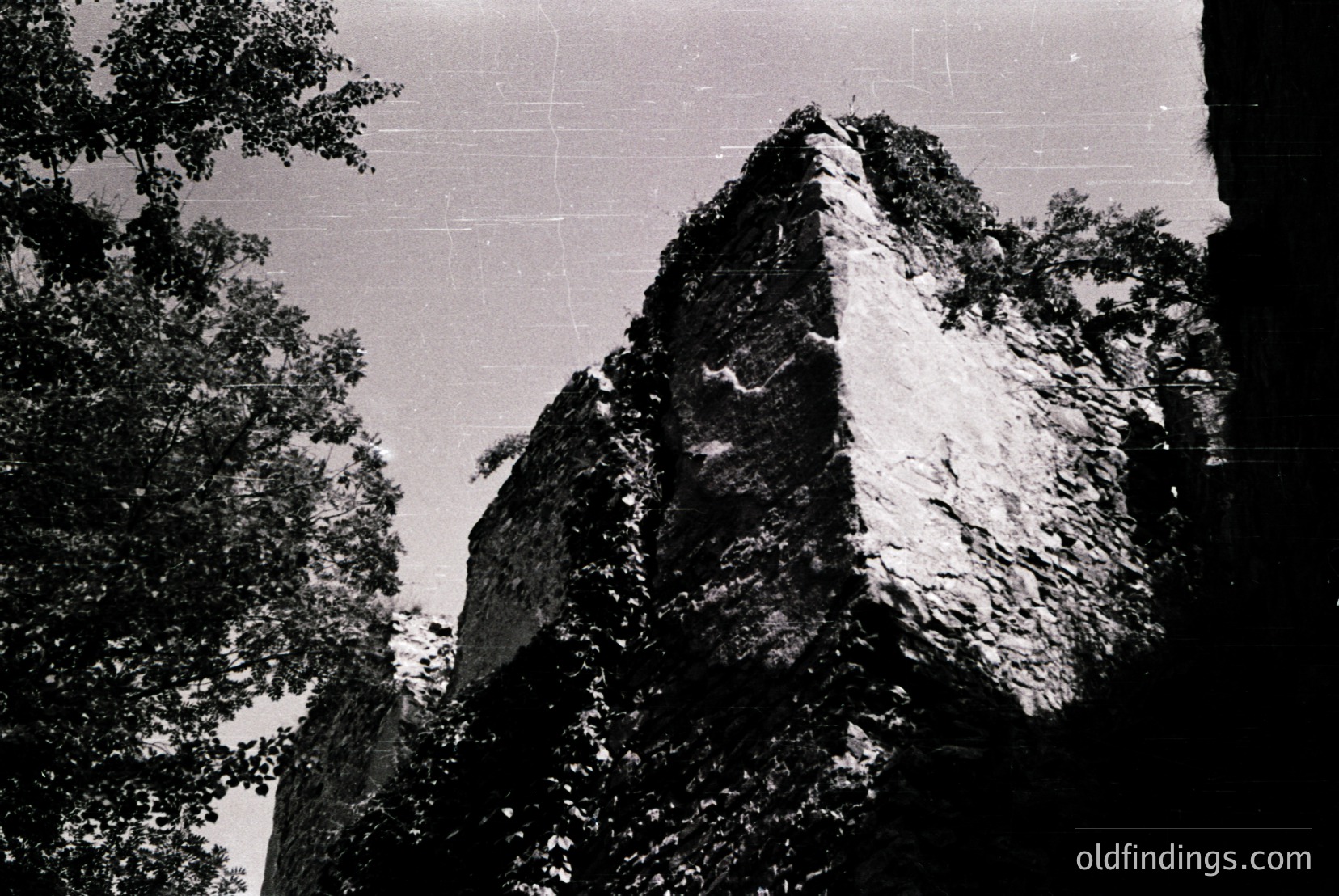 Vintage photograph