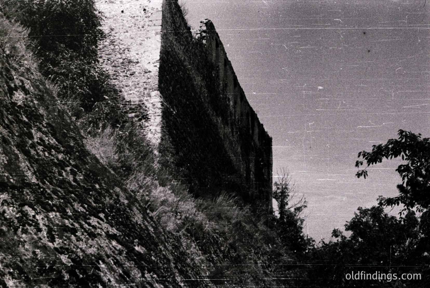 Vintage photograph