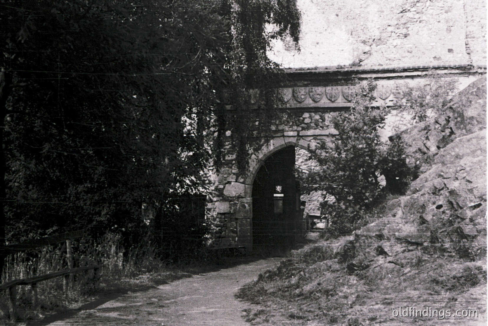 Vintage photograph