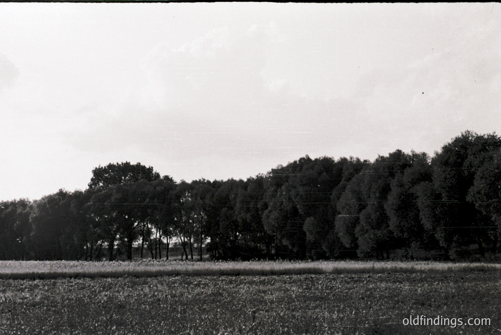 Vintage photograph