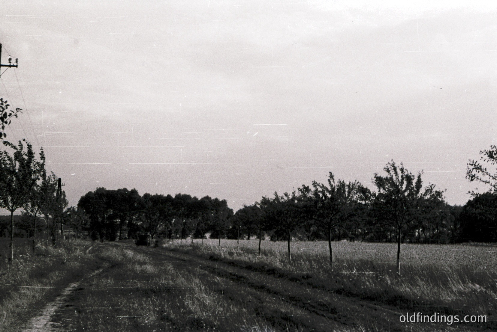 Vintage photograph