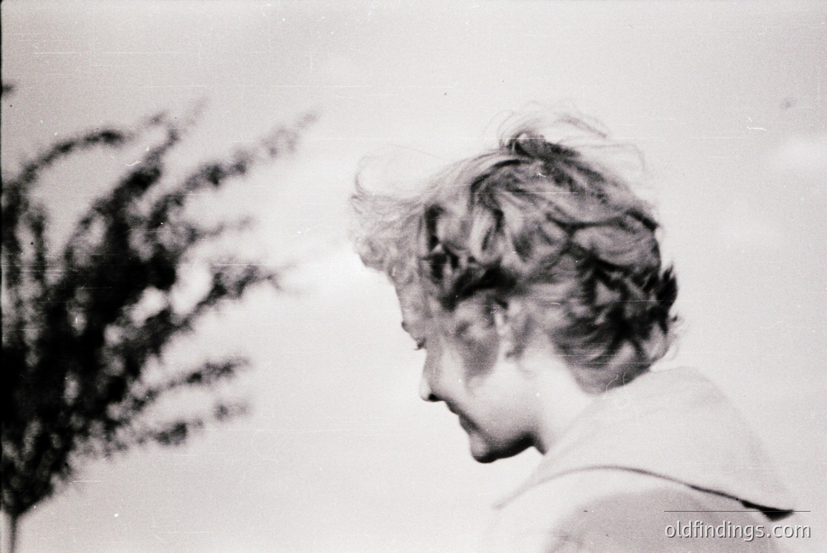 Vintage photograph