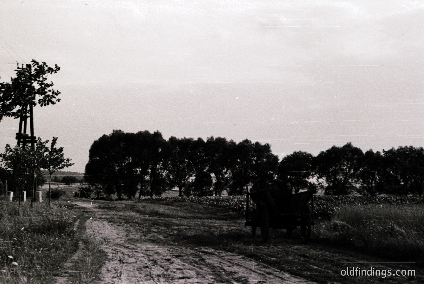 Vintage photograph