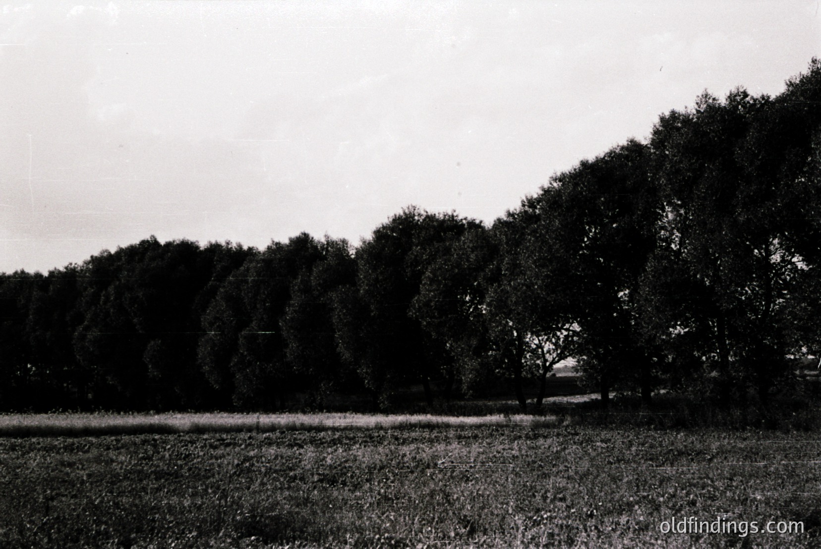 Vintage photograph