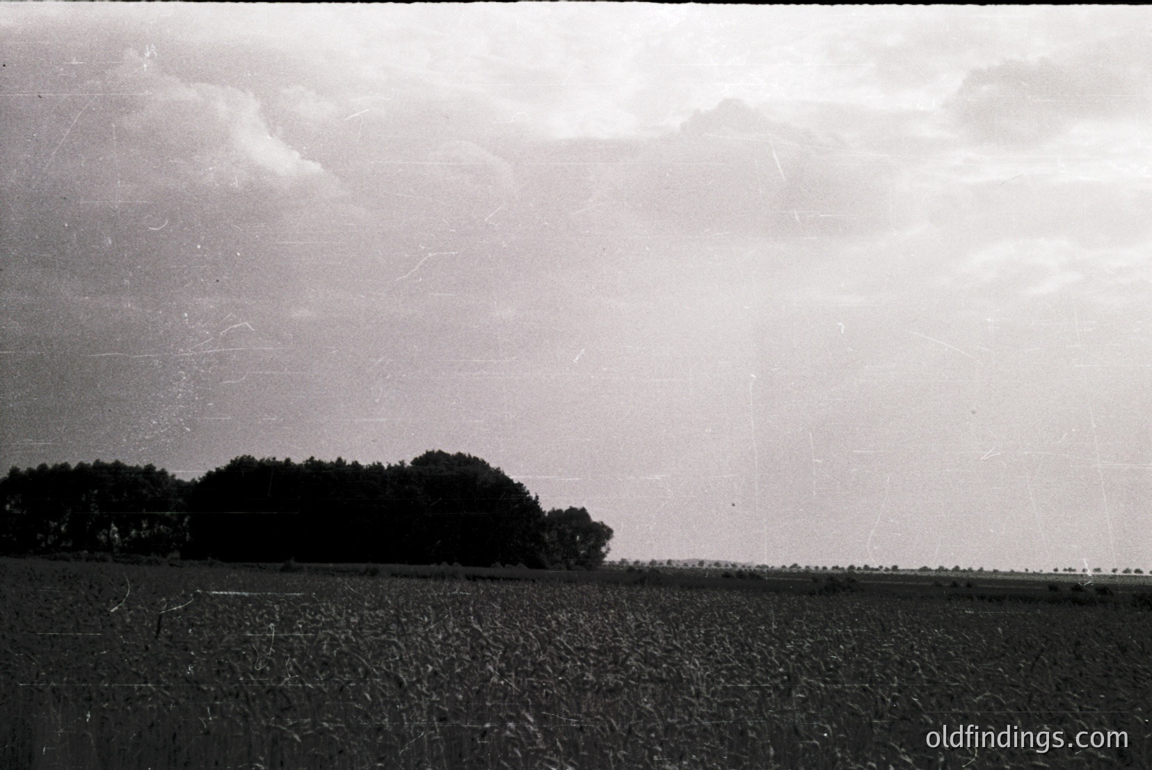 Vintage photograph
