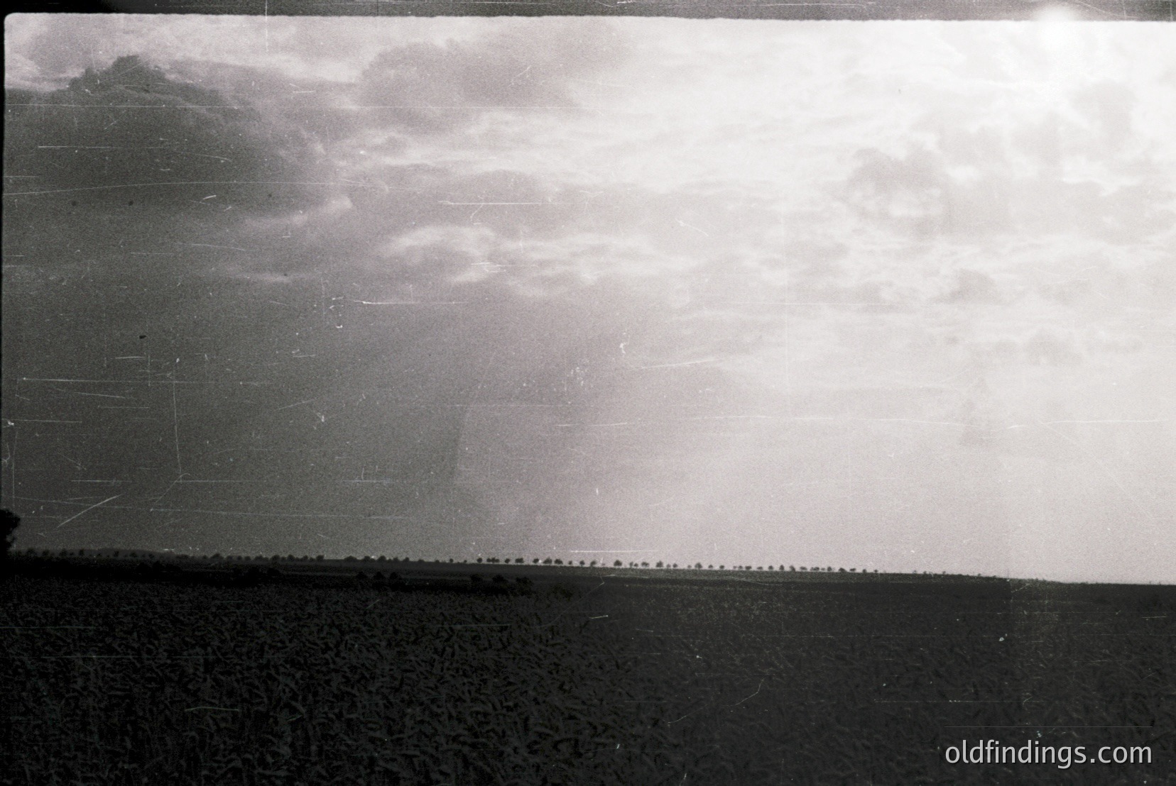 Vintage photograph