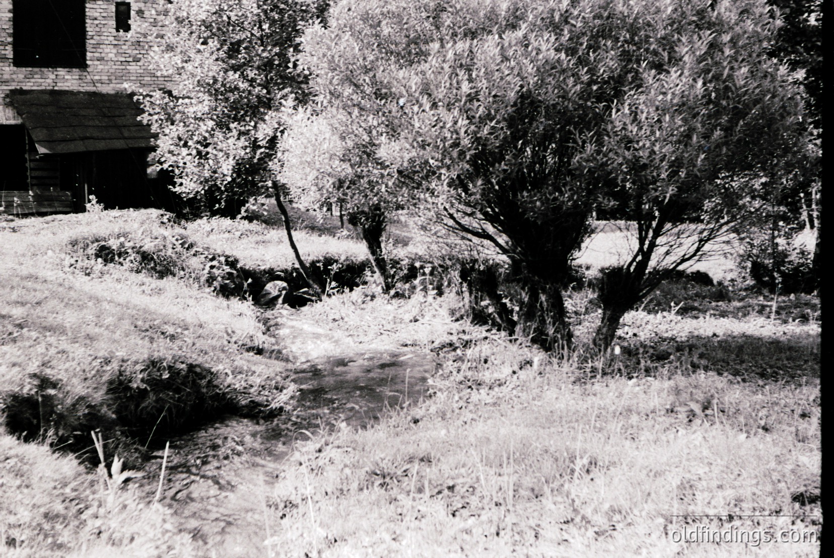 Vintage photograph