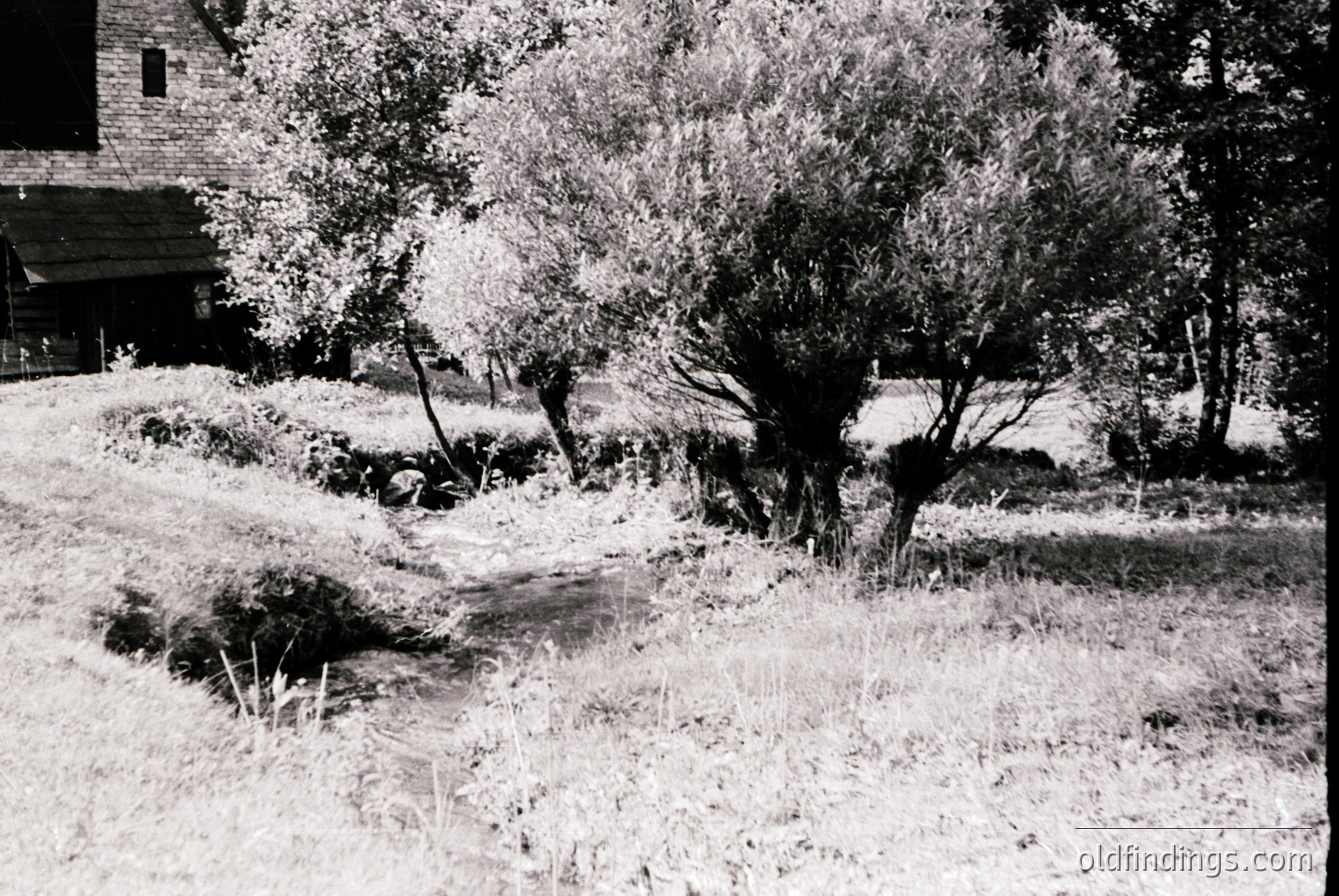 Vintage photograph