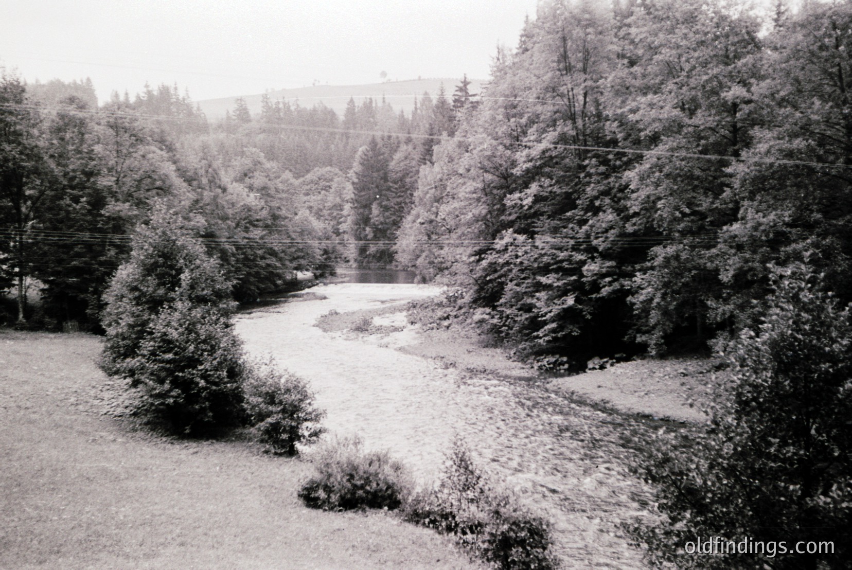 Vintage photograph