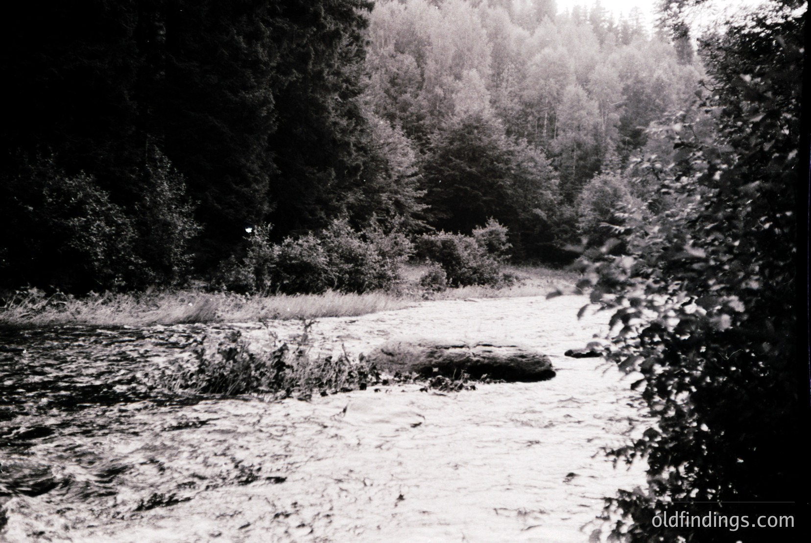 Vintage photograph