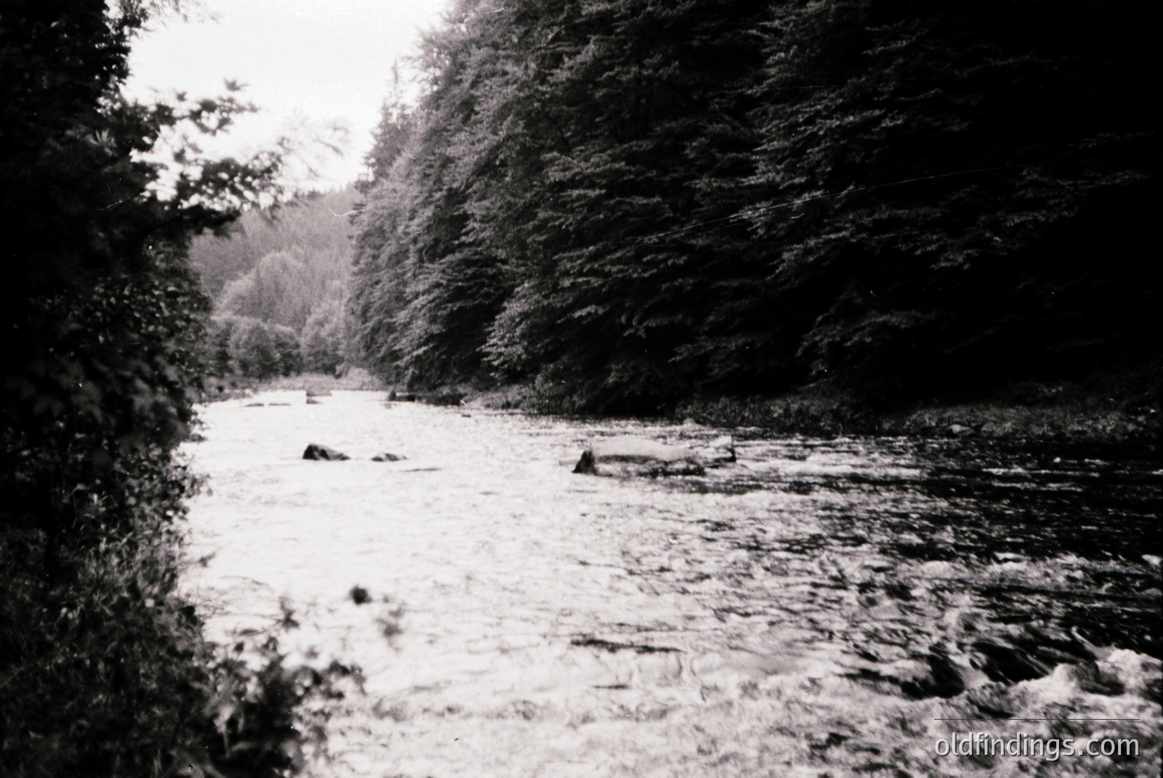 Vintage photograph