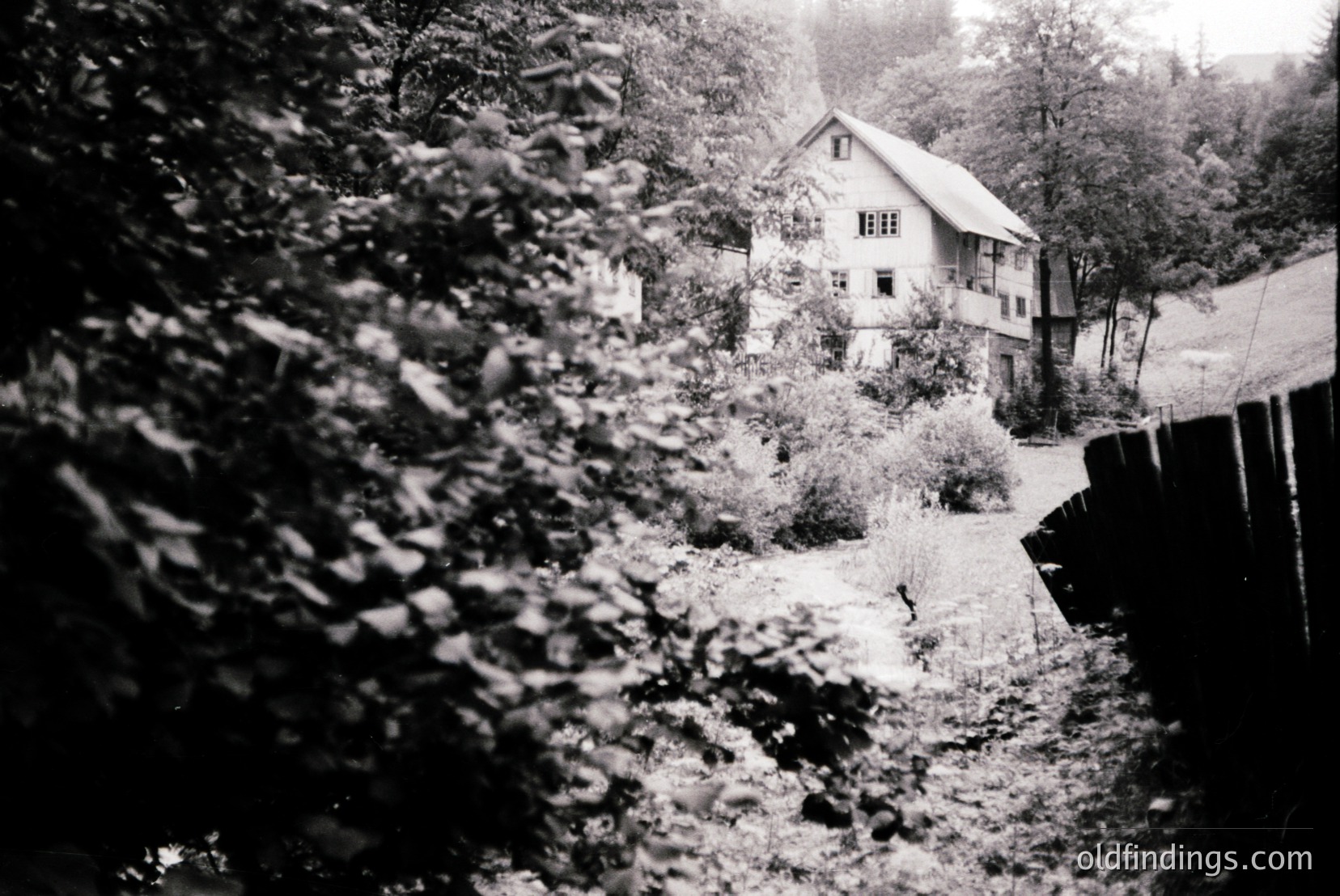 Vintage photograph
