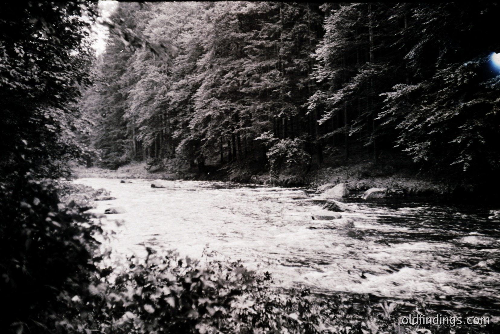 Vintage photograph