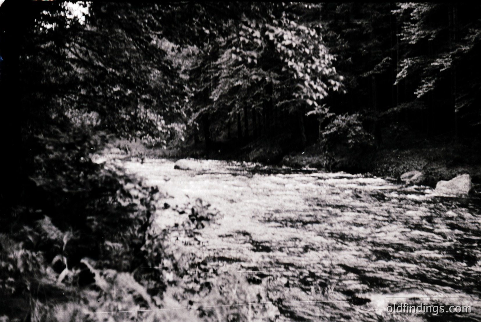 Vintage photograph