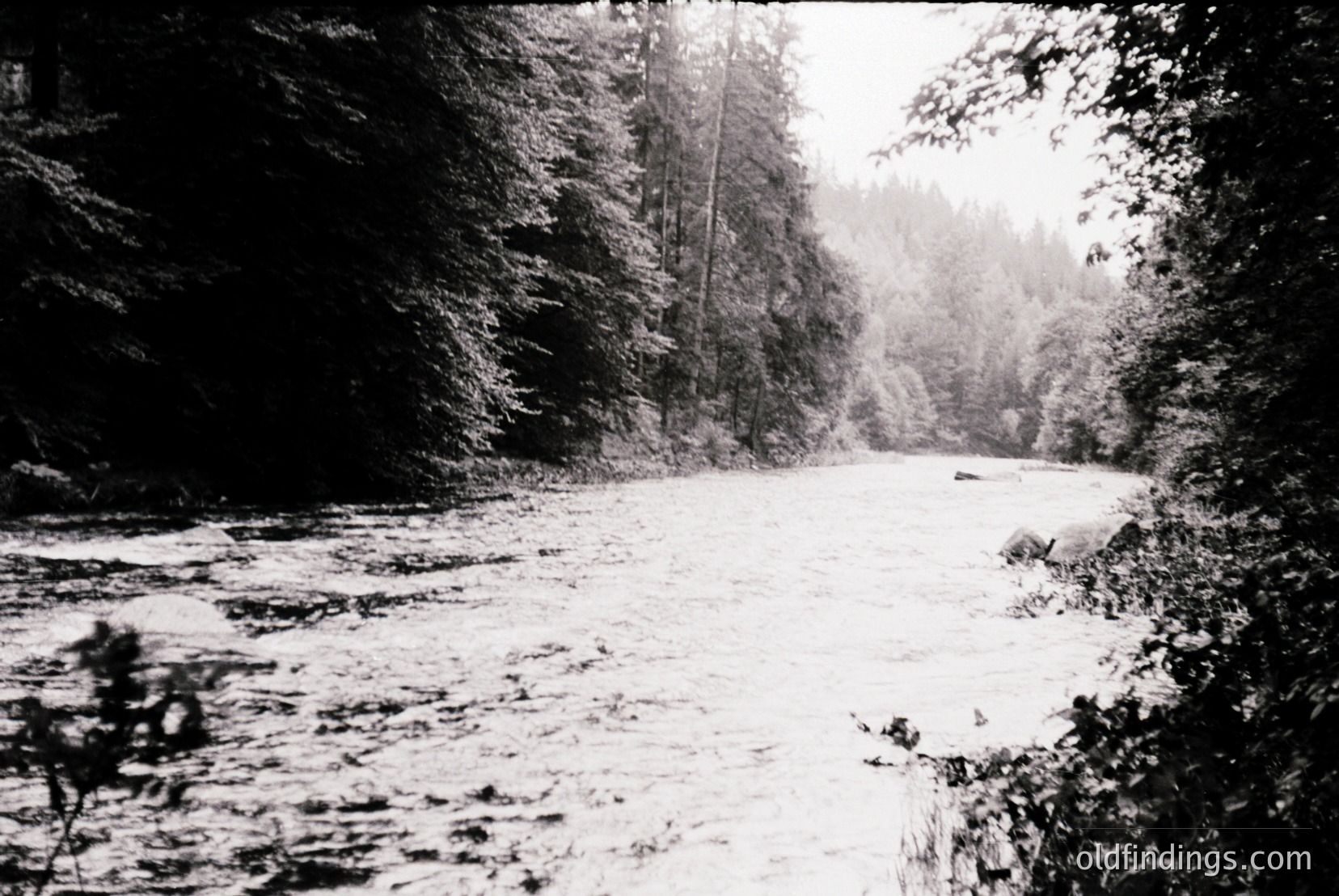 Vintage photograph