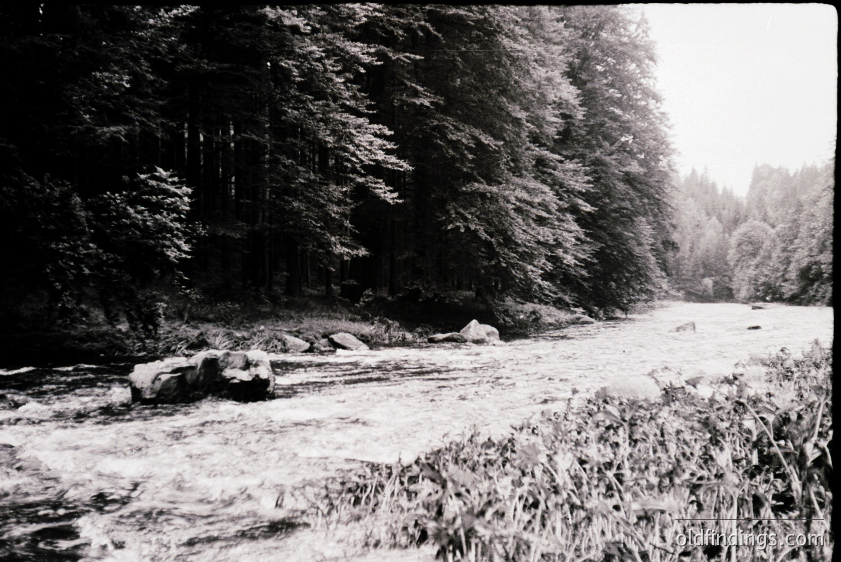Vintage photograph