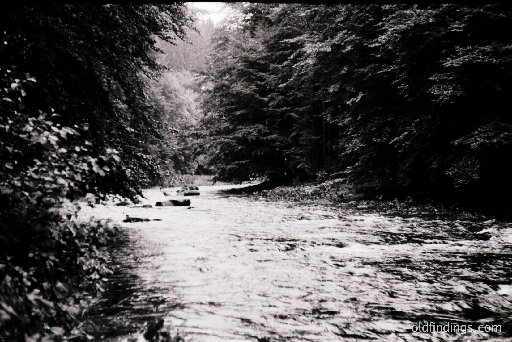 Vintage photograph