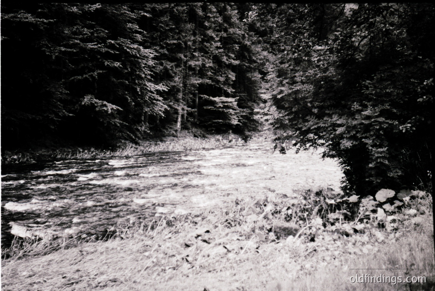 Vintage photograph