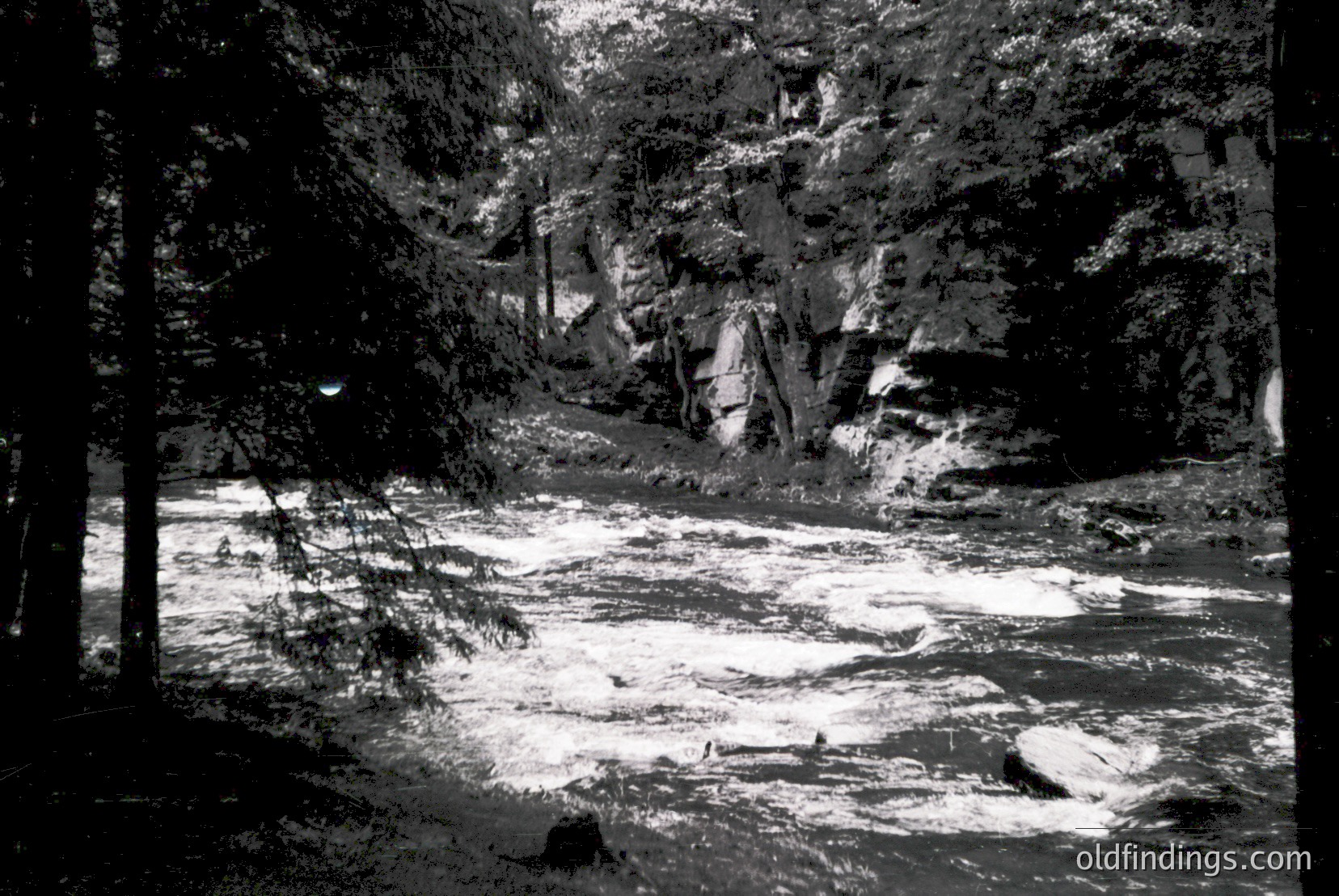 Vintage photograph