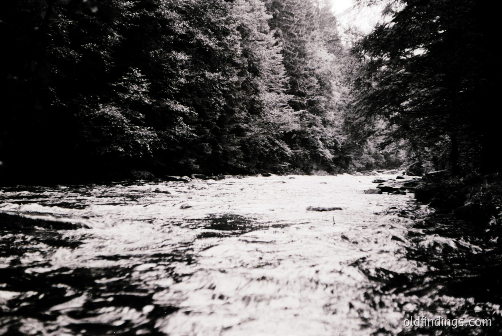 Vintage photograph