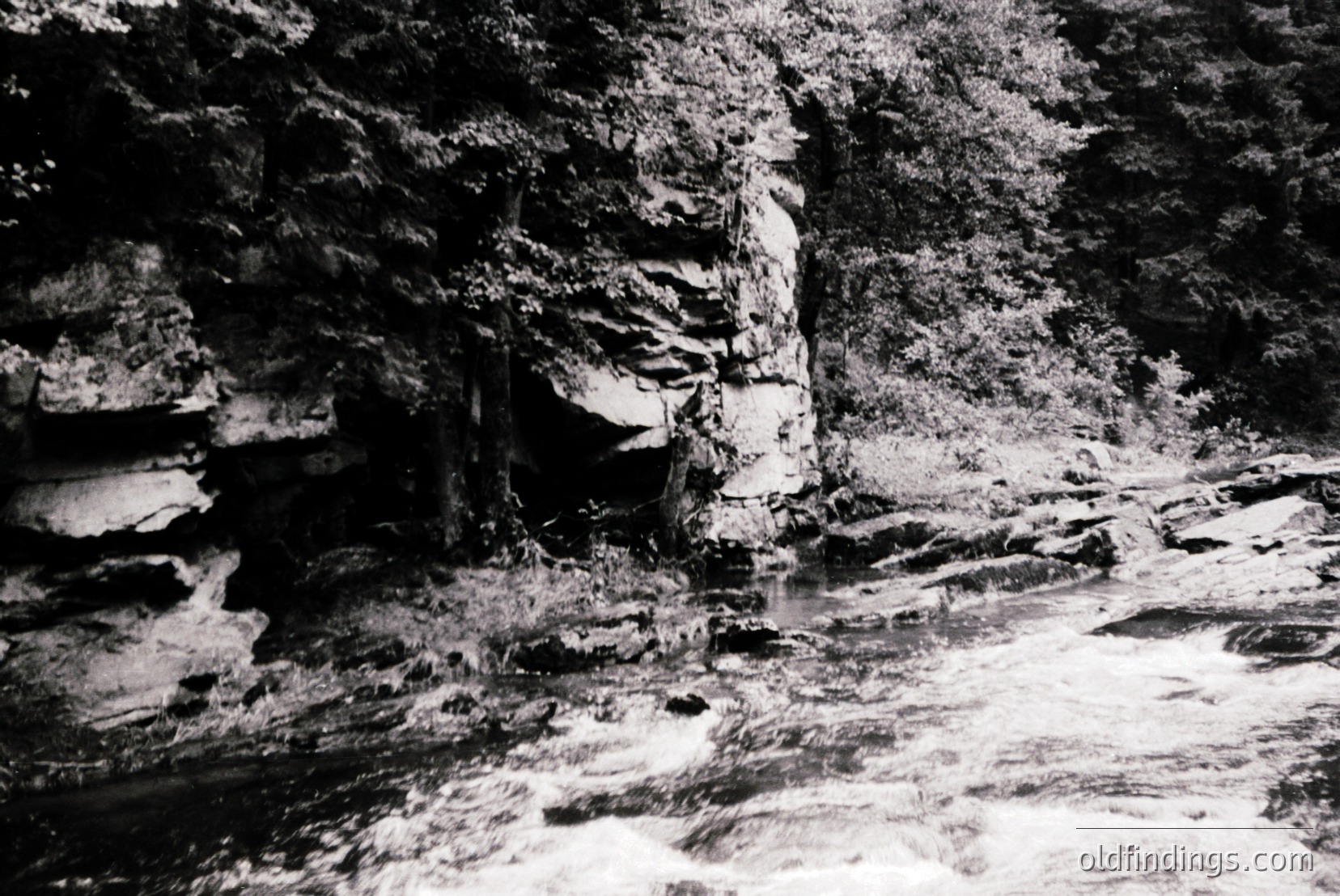 Vintage photograph