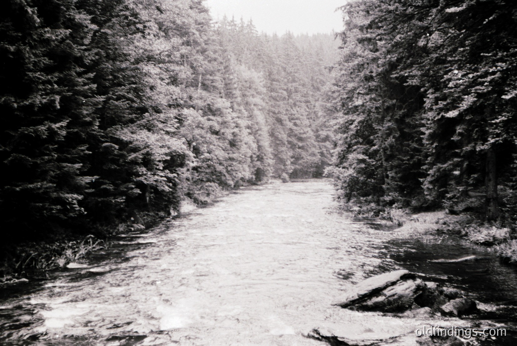 Vintage photograph