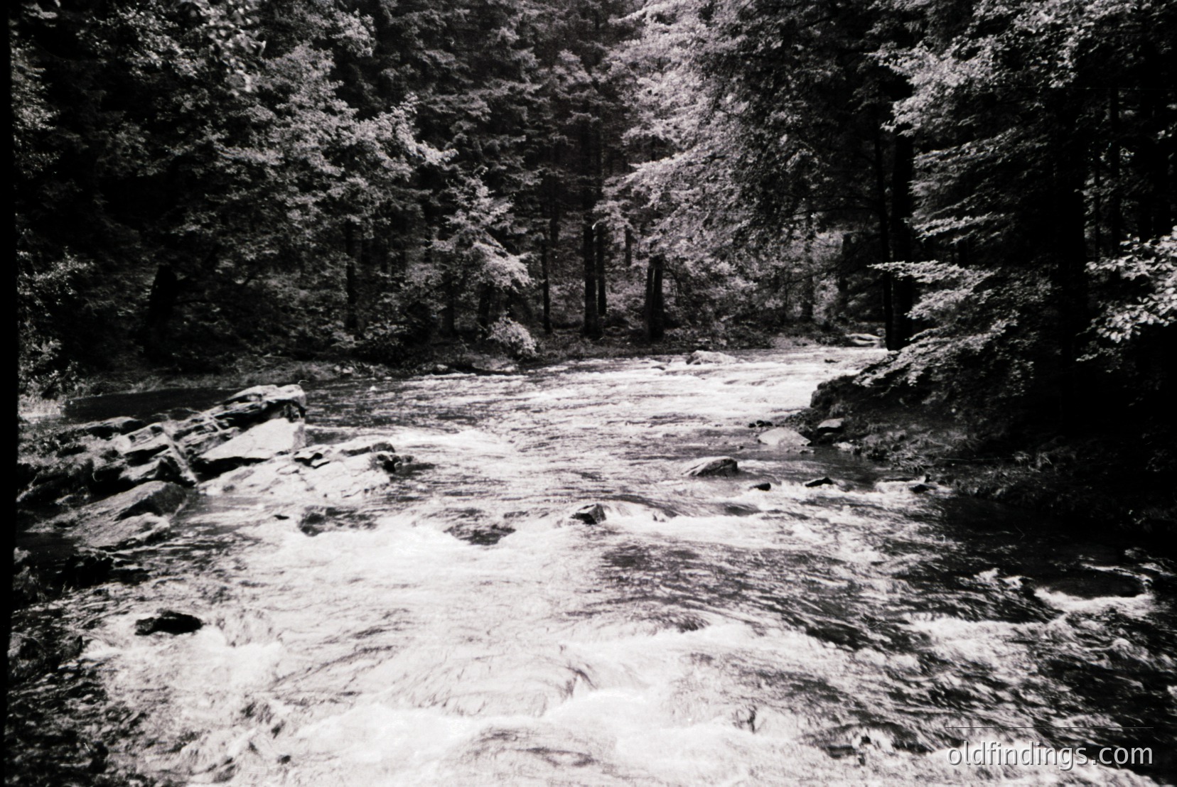 Vintage photograph