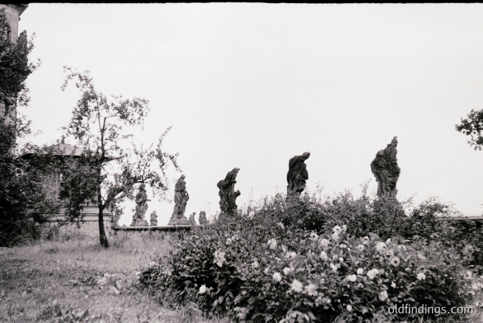 Vintage photograph