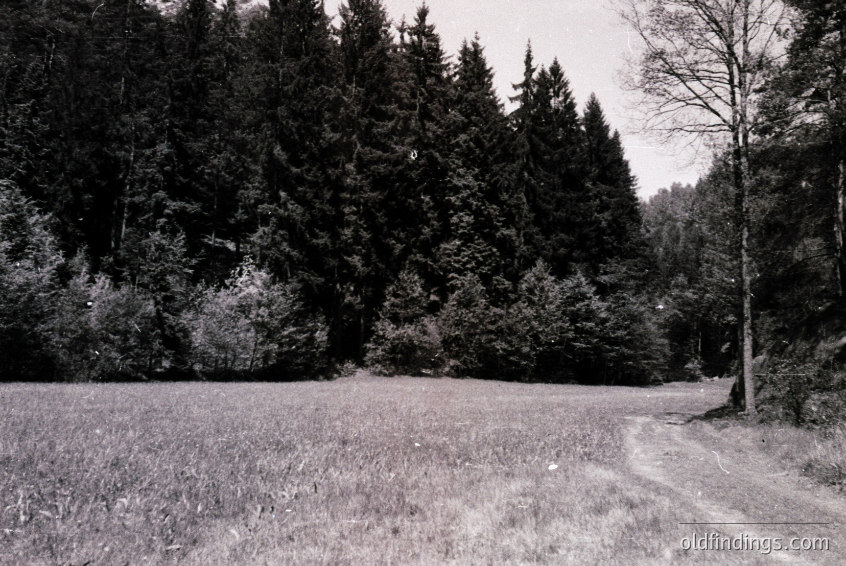 Vintage photograph