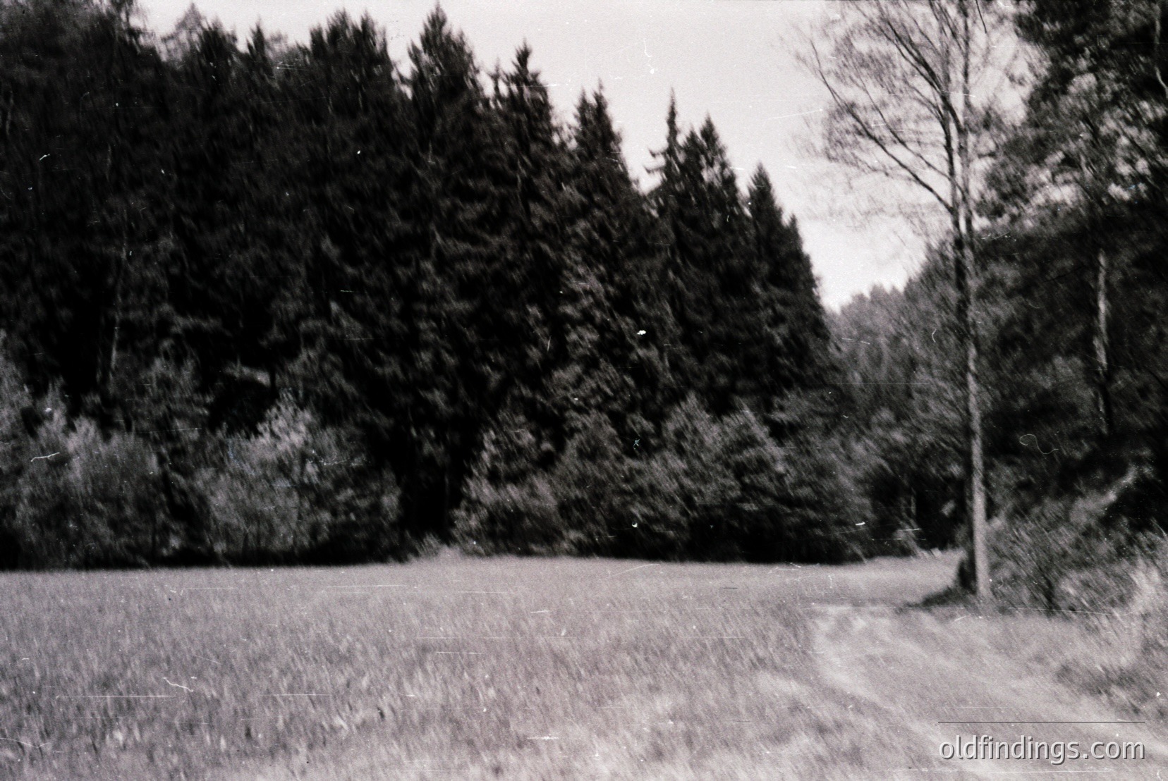 Vintage photograph